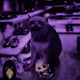 Ink Cats