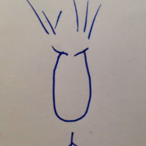 Ink Caricatures - old