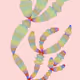 Inner garden : Second Growth