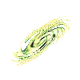 Inner Solar System