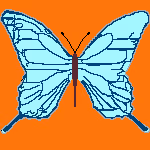 insect collecting NFT