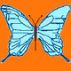 insect collecting NFT