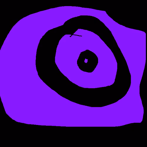 inside a double turtle