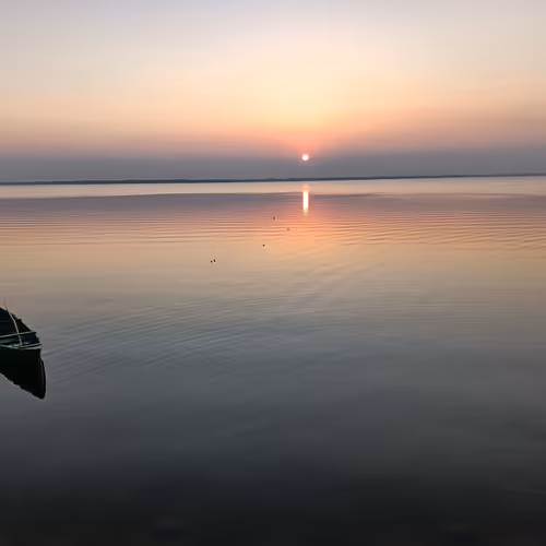 Inspired by nature photos - old