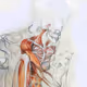Essence of body - old - old - old