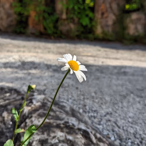 Instagram@Hannes.Gao