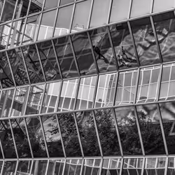 Espace réservé aux médias de l'article