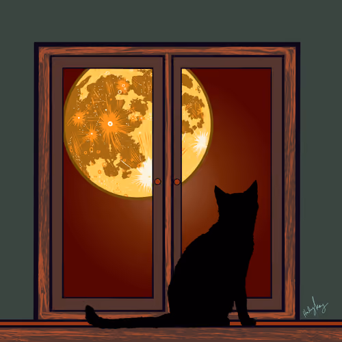Interdimensional Black Cat Portal