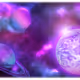 Into The Nebula
