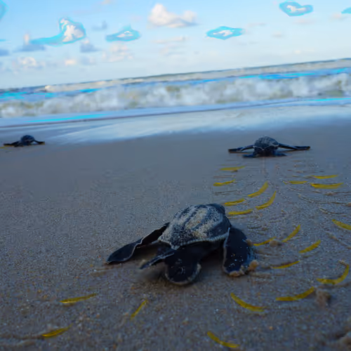 Into the vast Nature - old