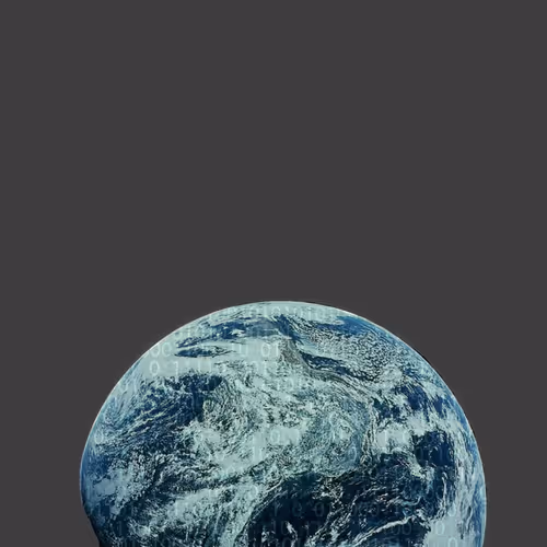 INTO THE WORLD