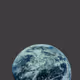 INTO THE WORLD