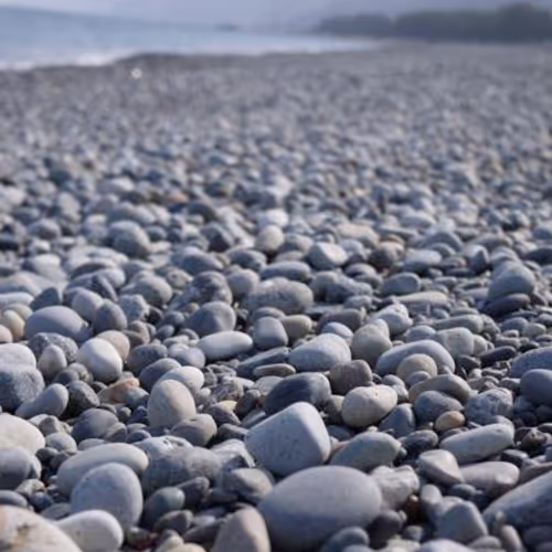 intuition2037 Collection