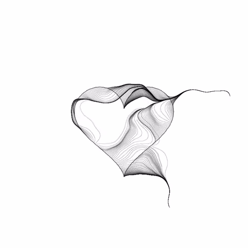 Intuitions