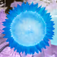 Inverse Inverted