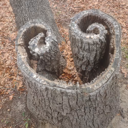 Investing in Myself - old - old