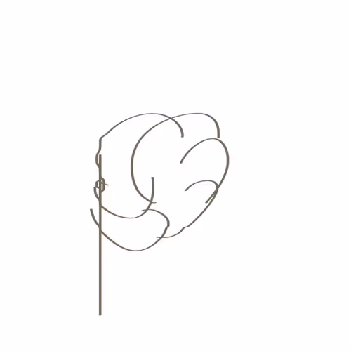 Invisible lines of Anton Mazkov - old