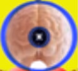 iOS App Creates
