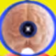 iOS App Creates