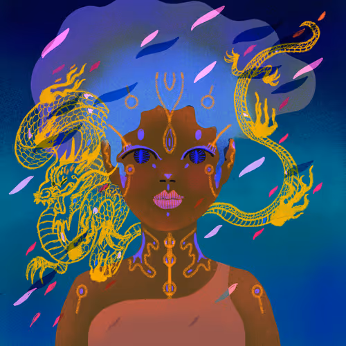 Dragon Girls Collection - old