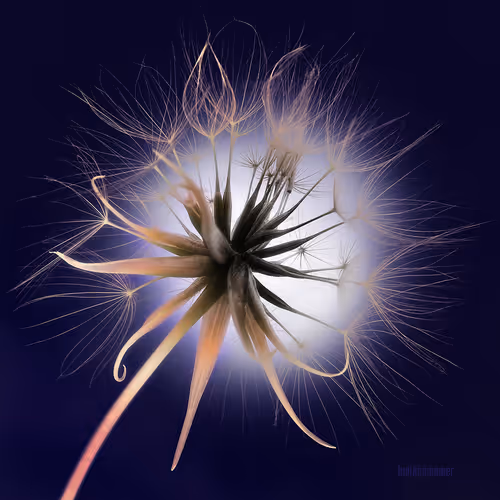 IndianSummer - Mother Nature MIX