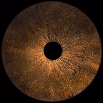 the answer to life, universe and everything