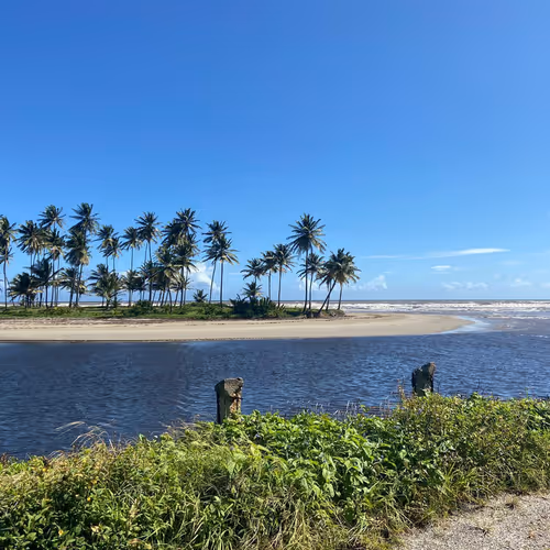 Island Life - Beach Days