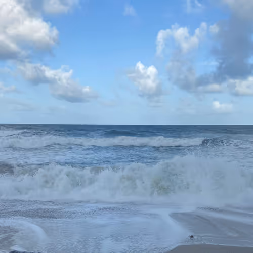 Island Life - Card Collection