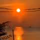 Island Pha-ngan