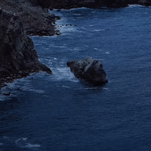 Islands In the Shade