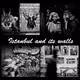 Istanbul and its walls - old