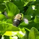 It Bees Like That Sometimes