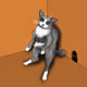 ITCHY CATS