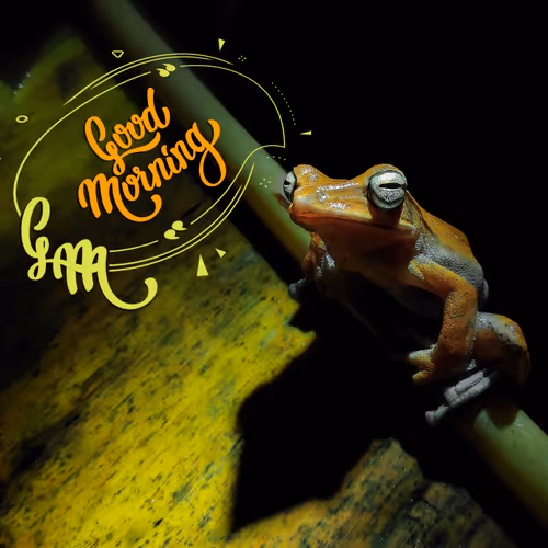 Go00od Morning - old