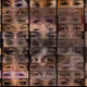 Collection of photographic art