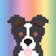 Jack, The NFT Border Collie