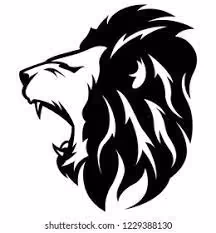 Jacky_Amit Collection