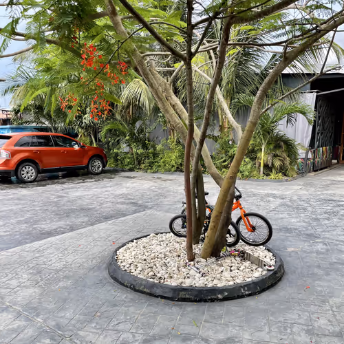 Jagz Therapy Collection