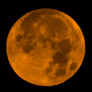 Jamaican Rare  Moon
