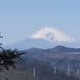 The Japan