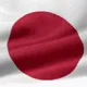 Melancholy Japan x Polygon