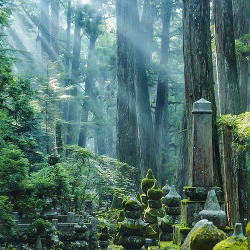 JapanConcierge Collection - old