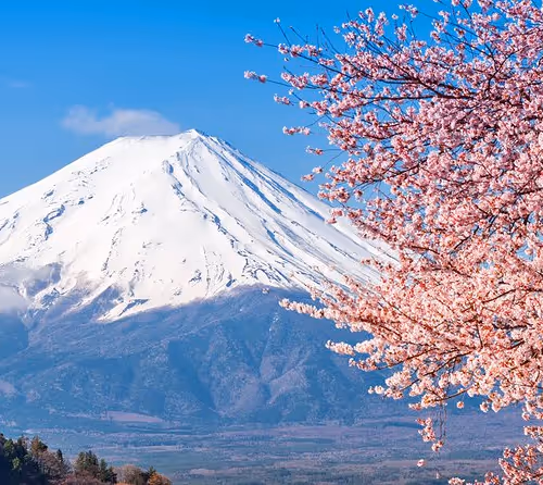 Japanese Art Collection