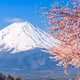 Japanese Art Collection