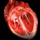 from heart to heart. - old