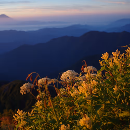 JAPANESE_Beautiful_Photo V3