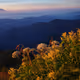 JAPANESE_Beautiful_Photo V3