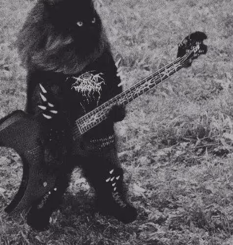 RANDOM NFT COLLECTION BY JAREXX