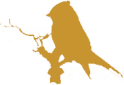 jasdumas