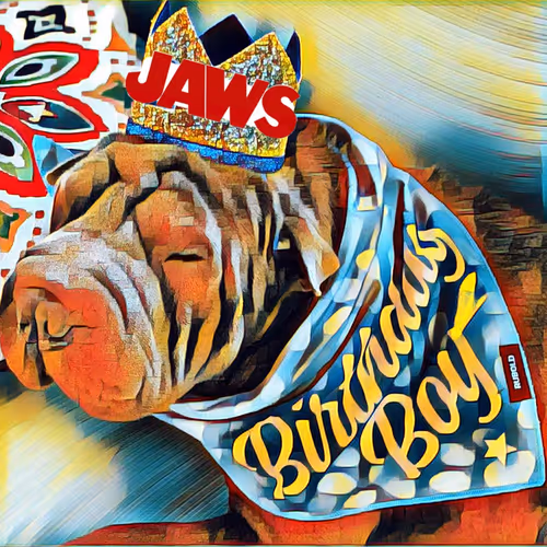 King JAW's